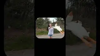 путешествие продолжается / nanebo - home