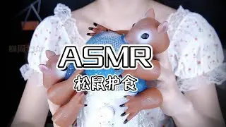ASMR【周七。助眠】今天把你交给松鼠~