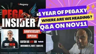 Pega insider on nov11 where we stand and what questions to ask!