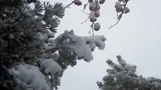 Из не вышедшего. Часть 1 от 26.01.20