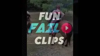 Reddit video / Reddit unexpected memes compilation