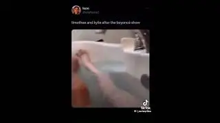 Timothee Chalamet Kylie Jenner Bathtub Meme