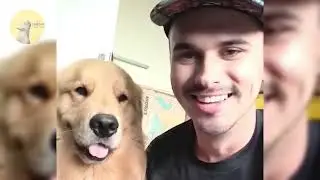 18 Minutes Of Funniest Animals 2024 😅
