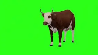 A cow walk |A cow running|A cow attack| Green screen cartoon character