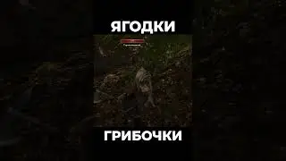 Хроники Миртаны: Архолос ➤ Ягодки грибочки 