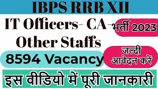 IBPS RRB XII Recruitment 2023 Notification Apply Online