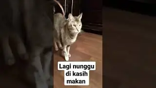 nunggu mKanan