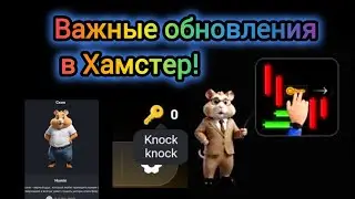 СКИНЫ КЛЮЧИ МИНИ ИГРА В ХАМСТЕР КОМБАТ ОБНОВЛЕНИЯ В Hamster kombat 