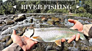 TROUT Fishing Colorado! (River Crossing Tips)