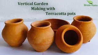 Vertical Garden Using Terracotta pots at Home//GREEN PLANTS