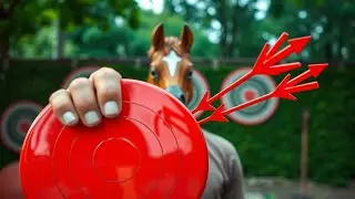Backyard Archery Challenge | Hitting Bullseyes in my Own Yard