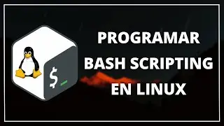 💻 Programar BASH SCRIPTING | Crear un SCRIPT para ESCANEAR INFORMACIÓN de un ORDENADOR 🐧