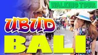 This is the situation on Jalan Kajeng Ubud Bali - Tourism in Ubud Bali