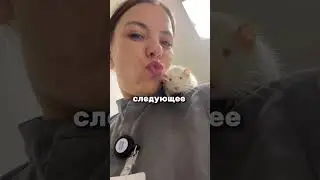 Тяжелые будни ветеринаров🙏🏼 