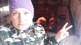 Без потеть не обошлось/Сколько телят осталось?Муж рукадельник/Купили колёса.