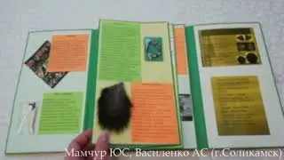 Лэпбук БОЛЬШАЯ КНИГА ФИНАНСОВ.