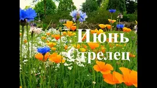 СТРЕЛЕЦ.  ИЮНЬ  2023. ТАРО ПРОГНОЗ.  Татьяна Шаманова