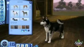The Sims 3 Pets Expansion Review