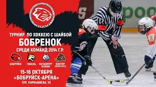 16.10.2022. 2014 г.р. ЛС. За 3-е. Гомель-1 - Жлобин-1