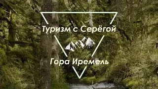 Большой Иремель, лось, осень, октябрь 2017 год.