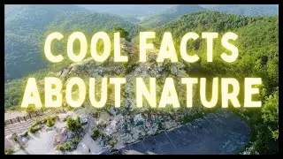 AI SAYS THESE ARE 10 COOL FACTS ABOUT MOTHER NATURE|BIRDS|HUMAN|EDUCATIONAL VIDEO|GK|3-8 YRS|