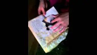 Мастер-класс: как сжечь книгу :-)