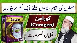 Coragen 20 SC, a Useful Insecticide || Crop Reformer