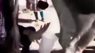 ну и подоила корову
