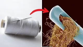 हमने हमारे आस पास की चीजों को माइक्रोस्कोप में देखा | Amazing things under microscope