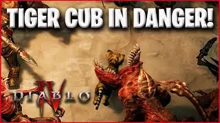 Warning! Tiger Baby In Danger! Most Unusual Season 4 Bugs [Diablo 4 News]