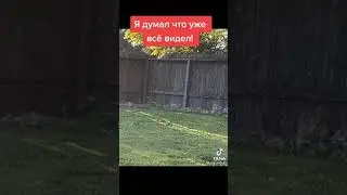 Теперь я видел все в этой жизни!