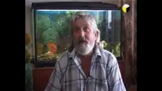 Ад рай клиническая смерть жизнь после смерти Г.В. Ревин