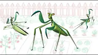 КАК ВЫЛУПЛЯЮТСЯ БОГОМОЛЫ ⁉️ Хищные насекомые 🔪🗡 БОГОМОЛ