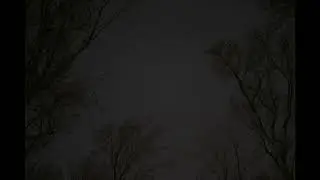 January 25 2020 Astrophotography Timelapse
