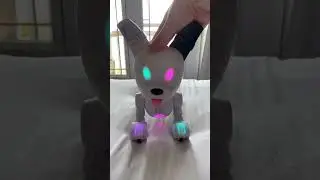 Dog-E can answer my questions?!🤔💬 