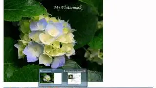 How to add a text watermark or image watermark to your image/photo