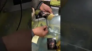 Wolf sticker on splendor