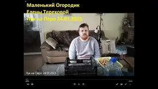 Маленький Огородик Елены Тереховой - Лук на Перо 24.01.2023