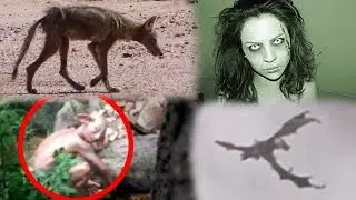 Proving These Creatures REAL/FAKE! (Dragon, Goblin, Demon & Chupacabra!)