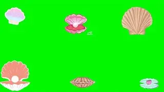 Clams Animation Green Screen !
