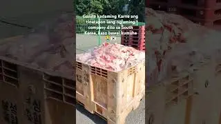 andaming sayang na karne, pang ulam na sana ng isang buwan 😆