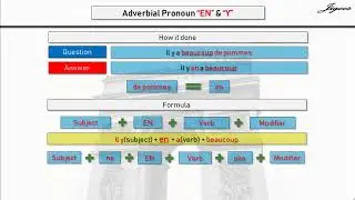 Adverbial Pronoun En and Y in French