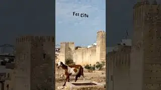 Why travel Morocco in 2023 -  Through It’s Historic Cities #travel