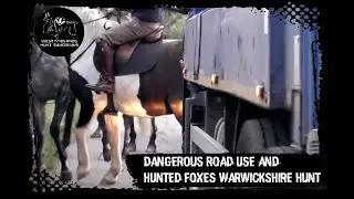 Dangerous road use and hunted foxes - business as usual for the Warwickshire Hunt