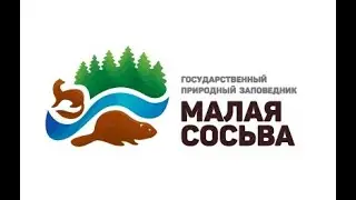 Презентация книги 