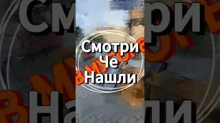 Роемся в немецком🇩🇪 мусоре #deutschland #germany