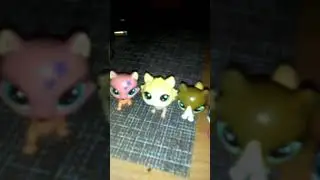 LPS: истории тигры 8 9 новый член лила