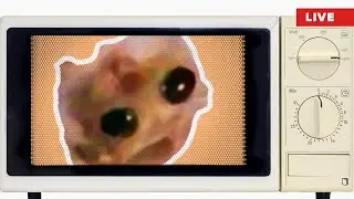 Хомяк💚Супер геймплей!