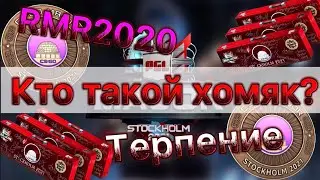 Кто такой ХОМЯК??? PGL Major Stockholm 2021. Rmr 2020. Клюкавка на связи. Новый мажор 2021 ксго.
