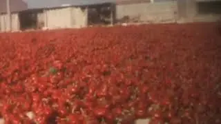 Plantel de ñoras en la entrada norte a Guardamar en 1979